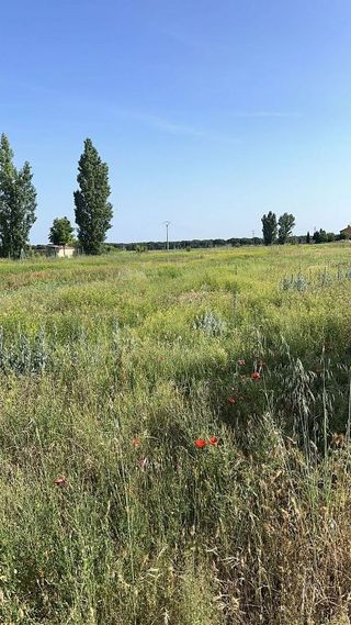 Terreno en venta en Aldeamayor de San Martín