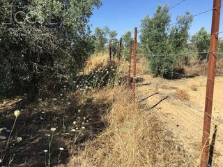 Terreno en venta en Almonte en Almonte