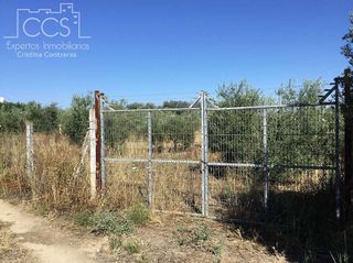 Terreno en venta en Almonte en Almonte