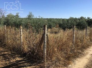 Terreno en venta en Almonte en Almonte