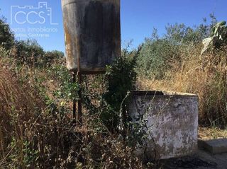 Terreno en venta en Almonte en Almonte