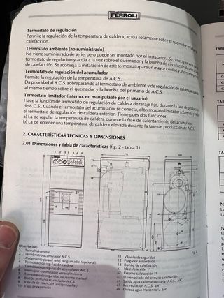 Caldaia Ferroli a gasolio in ottime condizioni