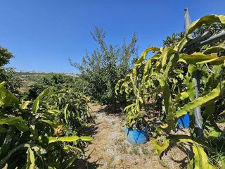 Chalet en venta en Casares
