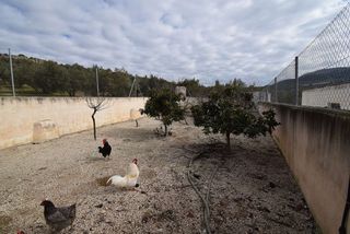 Casa rural en venta en Montefrío