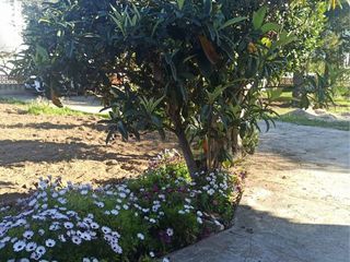 Chalet en venta en Boverals - Saldonar en Vinaròs