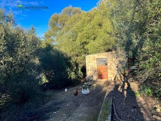 Casa rural en venta en Ubrique