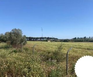 Terreno en venta en Almonte en Almonte