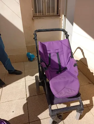 Carricoche púrpura muy cuidado