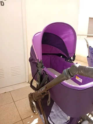 Carricoche púrpura muy cuidado