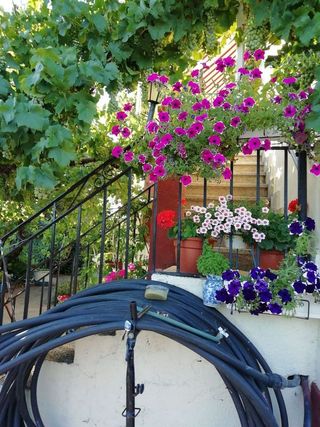 Chalet en venta en Ciudad Rodrigo