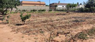 Terreno en venta en La Jara en Sanlúcar de Barrameda