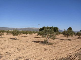 Solar en venta en Almansa