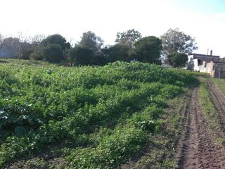 Terreno en venta en Vejer de la Frontera