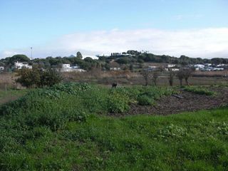 Terreno en venta en Vejer de la Frontera