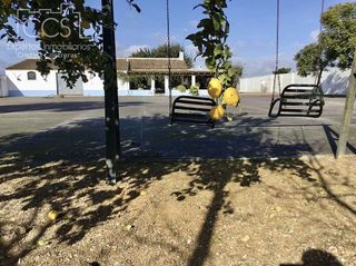 Casa rural en venta en Almonte en Almonte