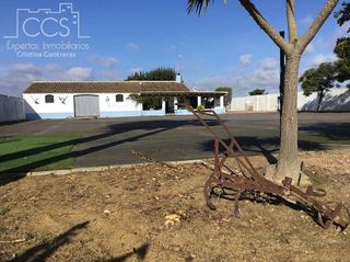 Casa rural en venta en Almonte en Almonte