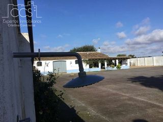 Casa rural en venta en Almonte en Almonte