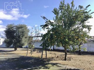 Casa rural en venta en Almonte en Almonte