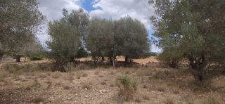 Casa rural en venta en Manacor Centro en Manacor