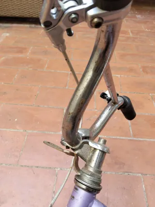 Bicicleta Morada Niña 6-8 Años