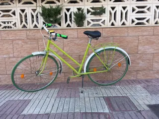 Bicicleta de paseo Vintage Verde