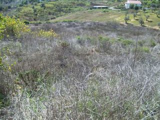 Terreno en venta en Álora