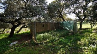 Terreno en venta en Almadén
