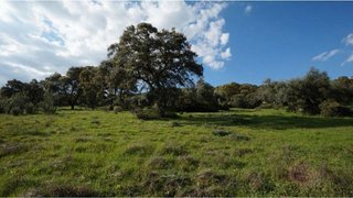 Terreno en venta en Almadén