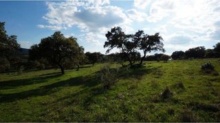 Terreno en venta en Almadén