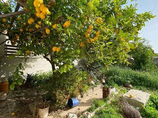 Chalet en venta en Binissalem