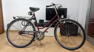 Bicicleta holandesa Everest