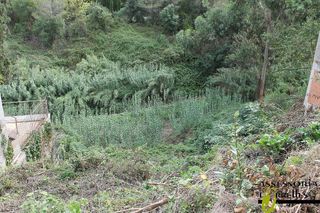 Terreno en venta en Torrelles de Llobregat
