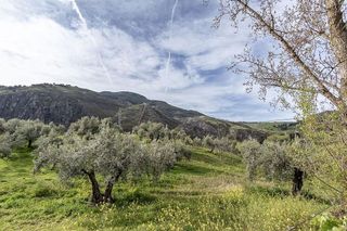 Cortijo en venta en Barrio de la Vega en Monachil
