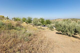 Terreno en venta en Alfacar