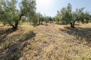 Terreno en venta en Alfacar