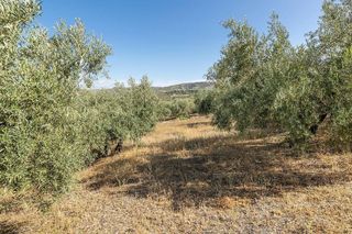 Terreno en venta en Alfacar