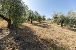 Terreno en venta en Alfacar