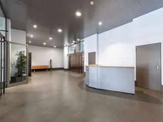 Oficina en alquiler en La Indioteria en Palma de Mallorca