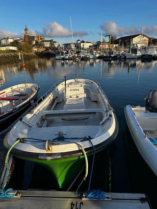 Txipironera Olaciregui 630