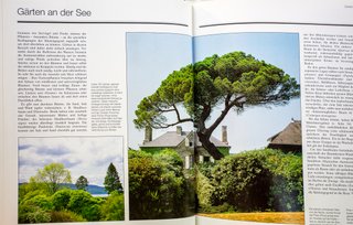 Libro giardini Baume im Garten by Anthony Paul