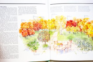 Libro giardini Baume im Garten by Anthony Paul