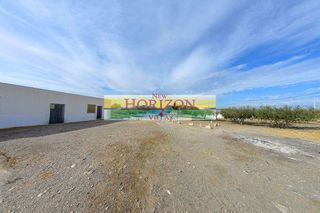 Casa adosada en venta en Huércal-Overa