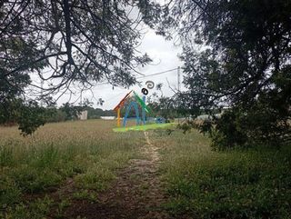 Terreno en venta en Almonte en Almonte