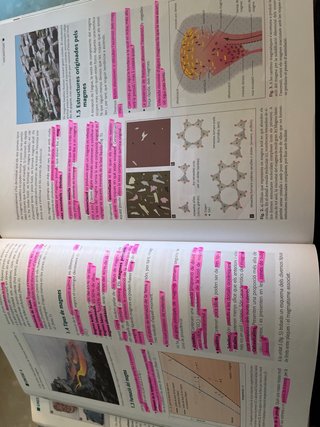 Libro 1r Bachillerato Medi
