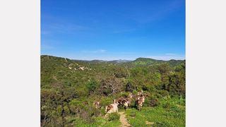 Terreno en venta en Puebla de Cazalla (La)