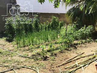 Terreno en venta en Palma del Condado (La)