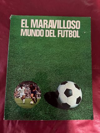 EL MARAVILLOSO MUNDO DEL FUTBOL