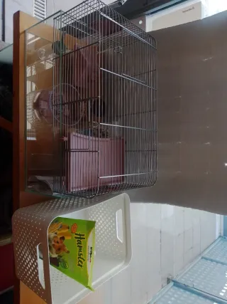 Jaula cristal hámster con accesorios