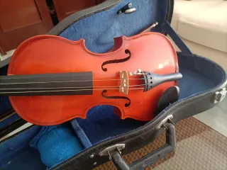 Violín con estuche
