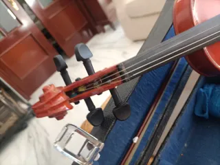 Violín con estuche
